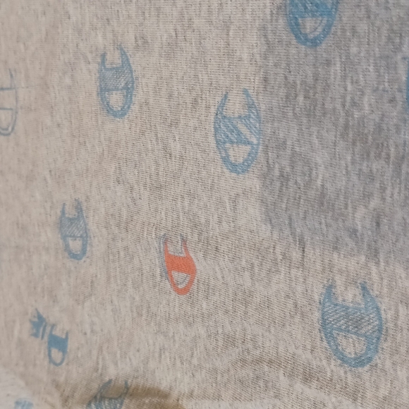 NWT Champion Gray Cropped Tee - Picture 2 of 6